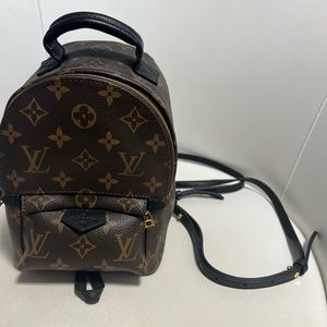 Louise Vuitton palm spring mini